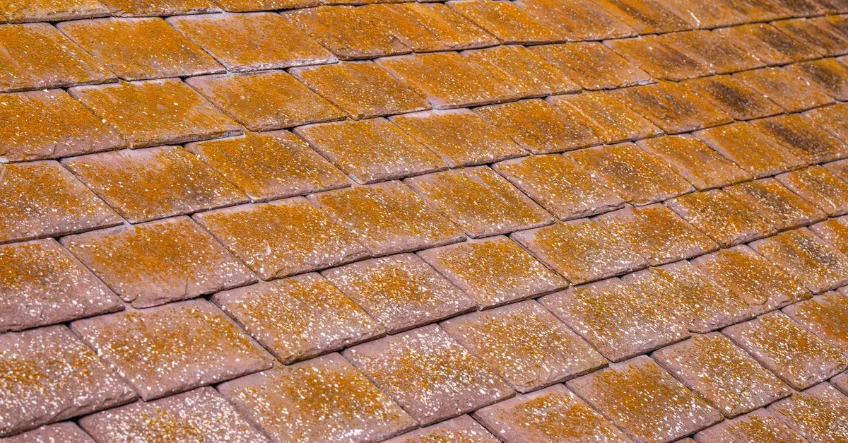 découvrez les causes des tuiles de toiture poreuses, les risques pour votre maison et les solutions pour protéger durablement votre toit.