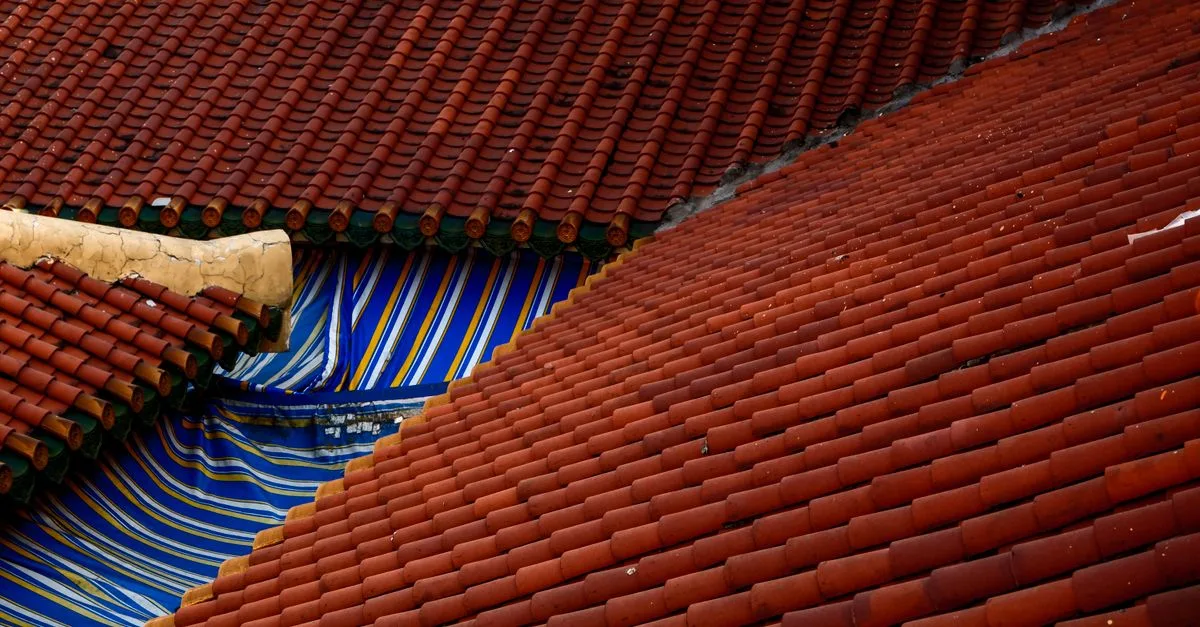 découvrez nos solutions de toiture : installation, rénovation et réparation pour protéger durablement votre maison et améliorer son efficacité énergétique.