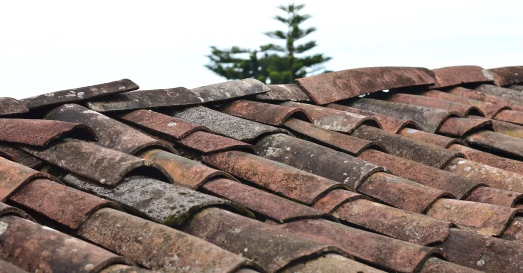découvrez les causes d’une fuite au niveau de l’arêtier de toiture, les signes à repérer et les solutions pour protéger votre maison.
